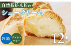 自然栽培 米粉のシュークリーム プレーン12個セット_自然栽培 米粉 シュークリーム プレーン セット 選べる 内容 こだわり グルテンフリー 銅なべ手だき カスタード 厳選 材料 便利 個包装 お裾分け 手土産 スイーツ お取り寄せ 福岡県 久留米市 送料無料_Dw082