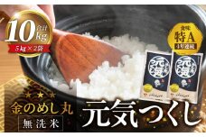 【無洗米】金のめし丸元気つくし　10kg　令和6年米_令和6年産 無洗米 4年連続 特A 金のめし丸 元気つくし 5kg × 2袋 計 10kg 一粒一粒 しっかり つや 粘り 炊きたて ごはん 春夏秋冬 冷めても いつでも 美味しい 農産物検査 上位等級 国産 食品 食べ物 米 白米 精米 グルメ お取り寄せ 福岡県 久留米市 送料無料_Gr057
