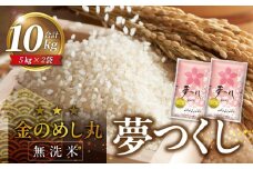 【無洗米】金のめし丸夢つくし　10kg　令和6年米_令和6年産 無洗米 金のめし丸 夢つくし 5kg × 2袋 計 10kg ツヤツヤ もちもち ごはん 食感 ほのかな 甘み ロングセラー オリジナル米 農産物検査 上位等級 国産 食品 食べ物 米 白米 精米 グルメ お取り寄せ お取り寄せグルメ 福岡県 久留米市 送料無料_Gr055