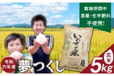 令和6年産夢つくし（玄米）5kg中村農園いのちの米_令和6年産 夢つくし 5kg 玄米 いのちの米 つややか 光沢 もちもち 食感 粘り 甘み ビタミン ミネラル 食物繊維 国産 米 新米 ブランド米 ご飯 おにぎり おむすび 弁当 主食 食品 食べ物 グルメ お取り寄せ お取り寄せグルメ 福岡県 久留米市 送料無料_Gr061