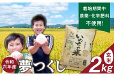 令和6年産夢つくし（玄米）2kg中村農園いのちの米_令和6年産 夢つくし 2kg 玄米 いのちの米 つややか 光沢 もちもち 食感 粘り 甘み ビタミン ミネラル 食物繊維 国産 米 新米 ブランド米 ご飯 おにぎり おむすび 弁当 主食 食品 食べ物 グルメ お取り寄せ お取り寄せグルメ 福岡県 久留米市 送料無料_Gr062