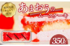 福岡県産【あまおう使用】あまおうのムースケーキ　350g×1個_あまおう ムースケーキ　350g × 1個 福岡県産 ケーキ ムース いちご ソース アイスケーキ 半解凍 ケーキ 解凍 冷凍 家族 友達 シェア お取り寄せ お取り寄せスイーツ デザート 福岡県 久留米市 送料無料_Dw083