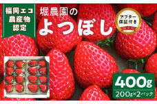 福岡県エコ農産物認定　堀農園のよつぼし400g_エコ農産物認定 堀農園 よつぼし 200g × 2パック 計 400g 完熟 食べ頃 いちご チルド便 適度 食感 酸味 強くない 豊か 風味 広がる バランス 四つ星級 お取り寄せ 福岡県 久留米市 送料無料_Fi073