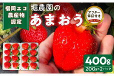福岡県エコ農産物認定　堀農園のあまおう400g_エコ農産物認定 堀農園 あまおう 200g × 2パック 計 400g 完熟 食べ頃 いちご チルド便 大粒 甘み 程よい 酸味 バランス 絶妙 果汁 ジューシー お取り寄せ 福岡県 久留米市 送料無料_Fi074