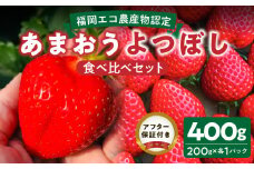 福岡県エコ農産物認定　堀農園のあまおう＆よつぼし食べ比べセット400ｇ(200g×2パック)_ エコ農産物認定 堀農園 あまおう よつぼし 各 200g × 1パック 計 400g 食べ比べ セット 完熟 食べ頃 いちご チルド便 大粒 甘み 程よい 酸味 バランス 絶妙 果汁 ジューシー 四つ星級 お取り寄せ 福岡県 久留米市 送料無料_Fi075