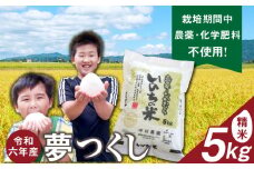 令和6年産夢つくし（精米）5kg中村農園いのちの米_令和6年産 夢つくし 5kg 精米 いのちの米 つややか 光沢 もちもち 食感 粘り 甘み 国産 米 白米 新米 ブランド米 ご飯 白飯 おにぎり おむすび 弁当 主食 食品 食べ物 グルメ お取り寄せ お取り寄せグルメ 福岡県 久留米市 送料無料_Gr059