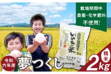 令和6年産夢つくし（精米）2kg中村農園いのちの米_令和6年産 夢つくし 2kg 精米 いのちの米 つややか 光沢 もちもち 食感 粘り 甘み 国産 米 白米 新米 ブランド米 ご飯 白飯 おにぎり おむすび 弁当 主食 食品 食べ物 グルメ お取り寄せ お取り寄せグルメ 福岡県 久留米市 送料無料_Gr060