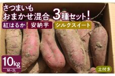 さつまいも！おまかせ混合3種セット10kg　土付き（M～2Lサイズ　紅はるか・安納芋・シルクスイート）_Gx044