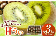 甘うぃ3kg箱_甘い キウイ 甘うぃ キウイフルーツ 3kg 国産 甘みの強い 果実 黄色味 福岡 オリジナル品種 濃厚 まろやか 高糖度 フルーツ 果物 ヨーグルト スムージー ジュース デザート 福岡県 久留米市 お取り寄せ お取り寄せフルーツ 送料無料_Fx018