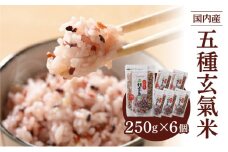 国内産 五種玄氣米 250g×6個 計1500g_Gr010