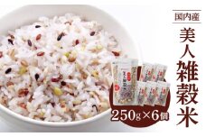 国内産 美人雑穀米 250g×6個 計1500g_Gr009