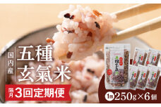 【隔月3回　定期便】国内産 五種玄氣米 250g×6個 1500g×3回_Tk025