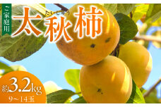 【訳あり品】【10月より順次発送】池尻農園　太秋柿　9～14玉　約3.2kg　ご家庭用_訳あり品 太秋柿 9～14玉 約3.2kg 10月発送 ご家庭用 柿 甘柿 フルーツ 果物 スイーツ 甘い 条紋 10月最盛期 完全甘柿 早生品種 大玉 甘みが強い シャキシャキ 種が少ない 子供でも 食べやすい 福岡県 久留米市 送料無料_Fk016