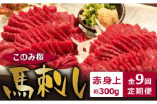 このみ桜　馬刺し　赤身上　9回定期便_Tk033