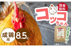 コッコちゃん 成鶏用 さなぎ入 8.5kg_コッコちゃん 成鶏用 飼料 さなぎ入 8.5kg 成鶏 健康維持 さなぎ 配合 産卵 サポート 卵 カルシウム 豊富 国産 原料 タンパク質 ビタミン ミネラル アミノ酸 自然 農作物 キンケイ チャボ 烏骨鶏 鶏 小動物 福岡県 久留米市 送料無料_Pf081