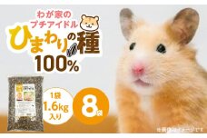 わが家のプチアイドル ひまわりの種 100%（1.6kg×8袋）_ひまわりの種 100% 1.6kg × 8袋 リス ハムスター モルモット ウサギ 小動物 殻付きタイプ カリカリ食感 香ばしい 風味 タンパク質 食物繊維 ビタミン ミネラル おやつ チャック付き 便利 福岡県 久留米市 送料無料_Pf083-02
