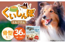 くいしんぼ ミルクガム 骨型（ミニ）12本×36袋_くいしんぼ ミルクガム 36袋 骨型 ミニ 12本 × 36袋 ミルク風味 デンタルガム ストレス解消 天然牛皮使用 ハードタイプ ガム 歯みがき効果 歯周病予防 あごの強化 犬 おやつ 福岡県 久留米市 送料無料_Pf050-01