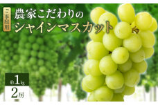 シャインマスカット（2房：約1kg）_シャインマスカット 2房 約1kg 九州 温暖 気候 活かす 農家 こだわり ご家庭用 予約受付 先行予約 皮ごと食べられる 上品 甘さ フルーツ 果実 果物 ぶどう マスカット デザート おやつ お取り寄せ 福岡県 久留米市 送料無料_Fg013