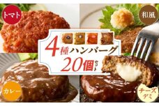 ハンバーグ食べ比べ20個セット_4種 20個 チーズデミ 和風 トマトソース カレーソース ハンバーグ 各5個 冷凍 温めるだけ 湯煎 レンジ 電子レンジ バラエティ 個包装 小分け 食べ比べ お弁当 簡単調理 お取り寄せ お取り寄せグルメ 福岡県 久留米市 送料無料_Ax405