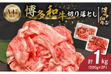 博多和牛切り落とし 500g×2パック_博多和牛 切り落とし 500g × 2パック 計 1kg 自慢 黒毛和牛 国産 九州産 福岡県産 国産牛 ブランド牛 牛肉 和牛 肉 お肉 赤身 溢れる 旨味 サシ 甘味 至福の時 煮物 すき焼き 炒め物 カレー 小分け 便利 冷凍 お取り寄せ グルメ 福岡県 久留米市 送料無料_Ab040