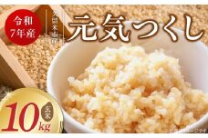 【令和7年産 新米】福岡県産ブランド米元気つくし 玄米 10kg_Gr068