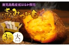 壺みついも(大)丸ごと3本セット_壺みついも 大サイズ 丸ごと 3本 セット 厳選 鹿児島県産 紅はるか 伝統製造法 唐津焼 大壺 輻射熱 炭火 遠赤外線エネルギー 丁寧 焼き上げ 驚く 甘さ しっとり 食感 焼き芋 おやつ デザート お取り寄せ 福岡県 久留米市 送料無料_Dw090-1