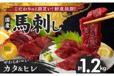 【福岡県産】 新鮮こだわり国産馬刺し【馬刺しタレ付き】福岡県産《カタ・ヒレ》（カタ100g×7P・ヒレ100g×5P）_馬刺し 計 1.2kg 1袋 100g カタ 7袋 ヒレ 5袋 特製 甘口醤油ダレ 100ml × 2本 国産 福岡県産 新鮮 生食用 赤身 真空包装 個包装 急速冷凍 肉 馬肉 ブロック 冷凍 食べ比べ 小分け 便利 低カロリー 高たんぱく 福岡県 久留米市_Ah019