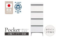 ランドリー収納 【ポケット 40 LO】 ホワイト つや有_ランドリー収納 ポケット 40 LO 大川家具 ホワイト つや有 収納 完成品 お手入れ 簡単 機能性抜群 引出 スライドレール 洗濯物 洗面所 隙間収納 お洒落 日本製 お取り寄せ 福岡県 久留米市 送料無料_Qd085-01