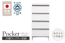 ランドリー収納 【ポケット 50 LO】 ホワイト つや有_ランドリー収納 ポケット 50 LO 大川家具 ホワイト つや有 収納 完成品 お手入れ 簡単 機能性抜群 引出 スライドレール 洗濯物 洗面所 隙間収納 お洒落 日本製 お取り寄せ 福岡県 久留米市 送料無料_Qd087-01