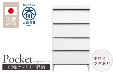 ランドリー収納 【ポケット 60 LO】 ホワイト つや有_ランドリー収納 ポケット 60 LO 大川家具 ホワイト つや有 収納 完成品 お手入れ 簡単 機能性抜群 引出 スライドレール 洗濯物 洗面所 隙間収納 お洒落 日本製 お取り寄せ 福岡県 久留米市 送料無料_Qd089-01
