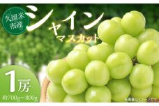 シャインマスカット _約700g〜800g 1房 糖度 高い 酸味 少ない 大粒 ハリがある 皮ごと 食べられる マスカット ぶどう 果物 フルーツ 果実 農家直送 冷蔵 プレゼント用 贈答用 旬の味覚 お取り寄せグルメ お取り寄せ グルメ 福岡県 久留米市 送料無料_Fg015