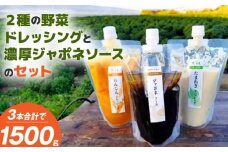 無添加ドレッシングと濃厚ジャポネソースのセット（500g）計3本_2種 野菜 ドレッシング ジャポネソース 各 500g 計 3本 セット 非加熱 生酵素 低オイル ヘルシー 人参 玉ねぎ 甘み 癖になる 美味しさ 玉ねぎドレッシング 人参ドレッシング フレッシュ 濃厚 洋食店の味 万能 ソース お取り寄せ 福岡県 久留米市 送料無料_Cd021-01