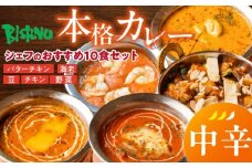 【中辛】ビスヌ 本格カレー　シェフのおすすめ10食_ビスヌ 本格 カレー シェフ おすすめ 10食 バターチキン 豆 海老 チキン 野菜 各 2個 中辛 インドカレー スパイス こだわり インド 直輸入 Aランク できたて 冷凍 真空パック お取り寄せ 福岡県 久留米市 送料無料_Ca047-02