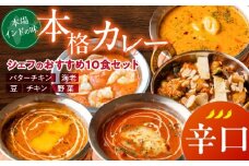 【辛口】ビスヌ 本格カレー　シェフのおすすめ10食_ビスヌ 本格 カレー シェフ おすすめ 10食 バターチキン 豆 海老 チキン 野菜 各 2個 辛口 インドカレー スパイス こだわり インド 直輸入 Aランク できたて 冷凍 真空パック お取り寄せ 福岡県 久留米市 送料無料_Ca047-03