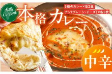 【中辛】ビスヌ 本格カレー 10食＋プレーンナン5枚＋チーズナン5枚_ビスヌ 10食 プレーンナン チーズナン 各 5枚 中辛 バターチキン 豆 海老 チキン キーマ インドカレー ナン チーズ スパイス こだわり インド 直輸入 Aランク できたて 冷凍 真空パック 福岡県 久留米市 送料無料_Ca050-02