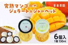 【2026年7月以降お届け】完熟マンゴーのジェラート＆シャーベット130ml×6個入り_先行予約 完熟 マンゴー ジェラート シャーベット セット 130ml × 6個 各3個 高糖度 果肉 使用 地植栽培 アイス デザート ご褒美 冷凍 トロピカルフルーツ 果物 国産 倉重農園 グルメ お取り寄せ お取り寄せグルメ 福岡県 久留米市 送料無料_Dw012