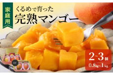 【2026年6月以降お届け】【家庭用】くるめで育った完熟マンゴー（2～3個：約0.8～1kg）_家庭用 くるめで育った 完熟マンゴー 2個 ～ 3個 アーウィン 甘い 子供も安心 フルーツ トロピカルフルーツ 果物 マンゴー 完熟 国産 家庭用 B品 冷蔵 クール便 倉重農園 お取り寄せ 福岡県 久留米市 送料無料_Fm007
