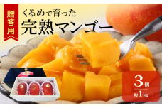 【2026年6月以降お届け】くるめで育った完熟マンゴー（3個：約1kg）_先行予約 贈答用 トロ～ッと口のなかでとろける くるめで育った 完熟マンゴー 3個 約 1kg 甘い 子供も安心 フルーツ  果物 マンゴー 完熟 国産 冷蔵 クール便 倉重農園 お取り寄せ 福岡県 久留米市 送料無料_Fm013