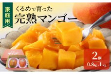 【2026年6月以降お届け】【家庭用】くるめで育った完熟マンゴー（2玉：約0.8～1kg）_先行予約 家庭用 くるめで育った 完熟マンゴー 2個 約0.8～1kg 甘い 子供も安心 果物 果実 スイーツ デザート マンゴー 国産 クール便 倉重農園 お取り寄せ お取り寄せスイーツ 福岡県 久留米市 送料無料_Fm016