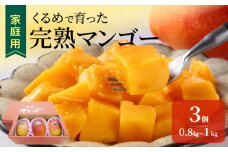 【2026年6月以降お届け】【家庭用】くるめで育った完熟マンゴー（3玉：約0.8～1kg）_先行予約 家庭用 くるめで育った 完熟マンゴー 3個 約 0.8kg ～ 1kg 糖度 17度 ～ 18度 甘い とろける 子供も安心 完熟 トロピカル フルーツ 果物 マンゴー 国産 クール便  倉重農園 地植栽培 お取り寄せ 福岡県 久留米市 送料無料_Fm017