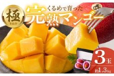 【2026年6月以降お届け】極　完熟マンゴー（3玉：約1.3kg）_完熟マンゴー 3玉 約 1.3kg 久留米産 平均糖度 17度～18度 完熟 マンゴー 国産 フルーツ トロピカルフルーツ 果物 デザート 冷蔵 クール便 お取り寄せ お取り寄せフルーツ 福岡県 久留米市 送料無料_Fm019