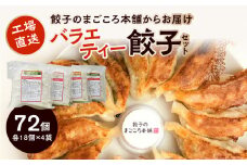 バラエティー餃子4袋セット_好き嫌いのない方におススメ バラエティー餃子 真心餃子 食べ比べ 4袋セット 青じそ にんにく鶏なんこつ 生姜 にら 4種類 餃子のまごころ本舗 福岡県 久留米市 お取り寄せ 焼くだけ 簡単 グルメ 餃子 惣菜 おかず おつまみ 加工品 冷凍 送料無料_Cx207