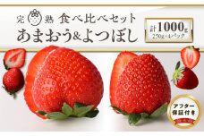 池田農園の完熟あまおう＆完熟よつぼし食べ比べセット