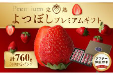 池田農園の完熟よつぼしプレミアムギフト (380g×2パック)　計760g
