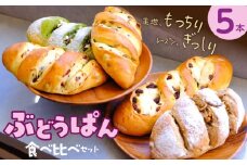 ぶどうぱん食べ比べセット（5本） _ ぶどうぱん 専門店 ぶどぱん 食べ比べ 5本 ぶどぱんのぶどうぱん サンマスカット 全粒粉のくるみとレーズン ミックスレーズン 抹茶 レーズン しっとり もっちり 食パン生地 トースト 冷凍保存 お取り寄せ 福岡県 久留米市 送料無料 _Cx242-05