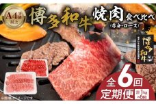 博多和牛赤身・ロース焼肉食べ比べ　計1kg　6回定期便 _Tk054