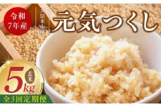 【定期便3回】【令和7年産 新米】福岡県産ブランド米元気つくし 玄米 5kg×3回 _Tk076