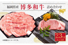 博多 和牛 サーロイン ステーキ & 薄切り肉 詰め合わせ 計2.3kg