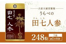 うらべの田七人参 （250mg×248粒）×1袋 