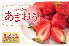 完熟 あまおう いちご 約280g×2パック 計560g